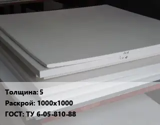 Фторопласт плита 5 1000х1000 ТУ 6-05-810-88